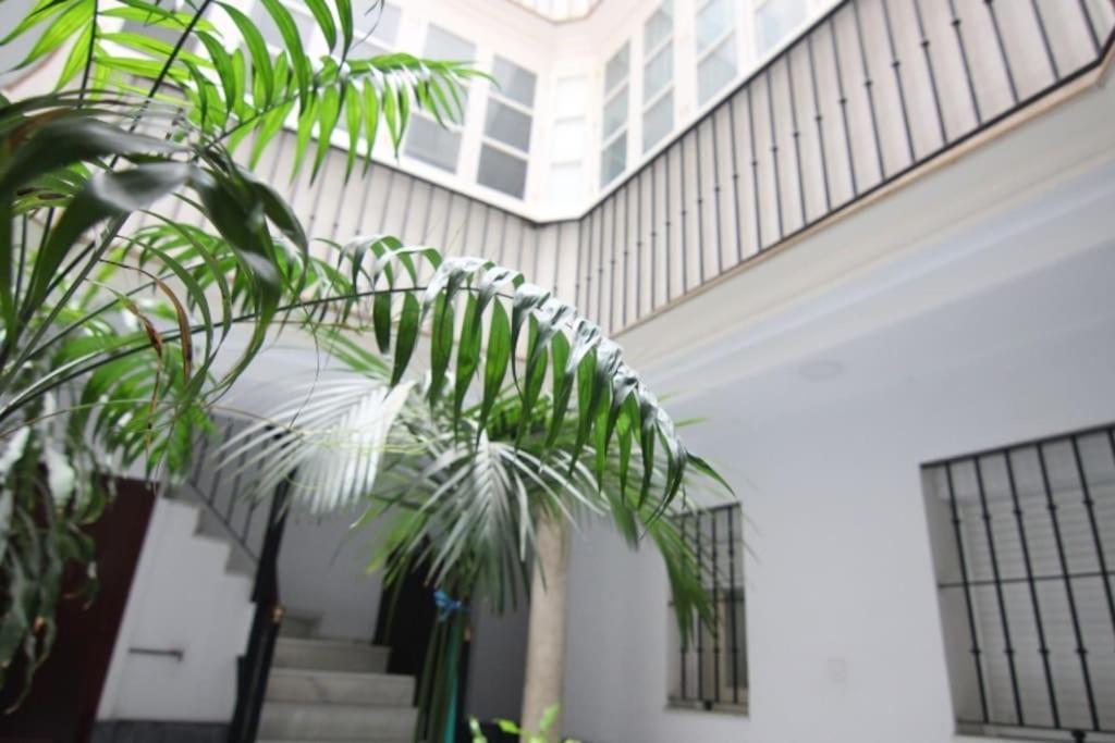 Apartamento Feduchy 10 Min De La Playa 2 Banos 카디스 외부 사진